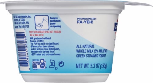 Fage Total Plain 5% Milkfat Low Fat Greek Yogurt Cup Perspective: left
