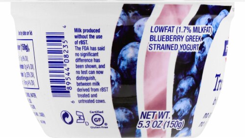 Fage TruBlend Lowfat Blueberry Greek Yogurt Perspective: left