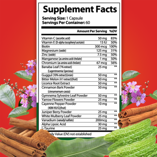 Blood Sugar Ultra Capsules, Organic Supplement with Cinnamon Bark Powder - 60 Capsules Perspective: left