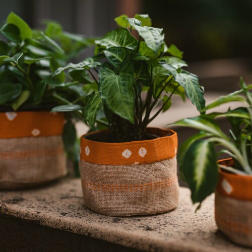 DALA Multipurpose Storage Containers (Set of 3) Organic Reversible Handmade Perspective: left