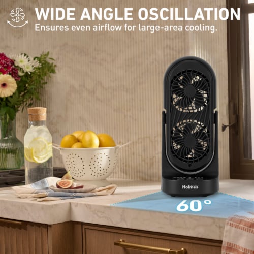Holmes® Dual Blade Clean Breeze Desk Fan Perspective: left