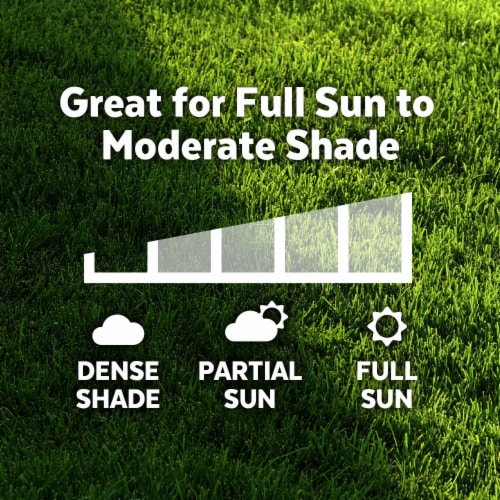 MVS® Grass Seed Sun & Shade Mix - 3Lb Perspective: left