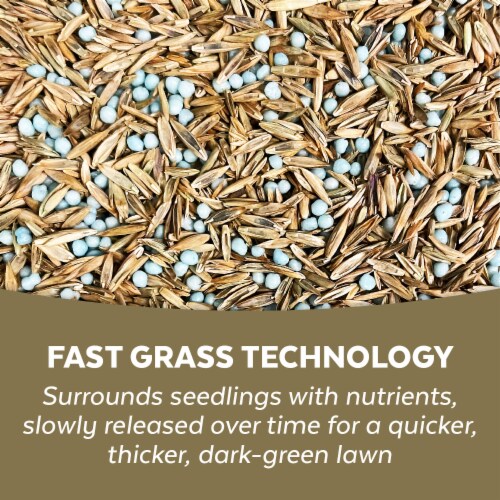 MVS® Fast Grass Sun & Shade Mix- 6Lb Perspective: left