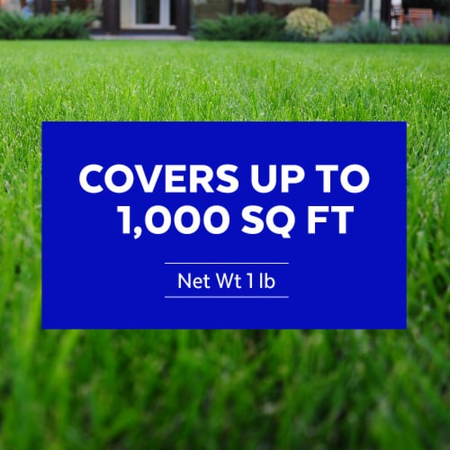 Mountain View Seeds Kentucky Bluegrass Seed Perspective: left