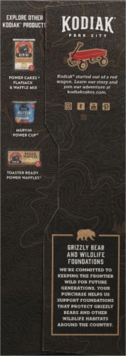 Kodiak® Oatmeal Variety Packs - Maple Brown Sugar Chocolate Chip Apple Cinnamon Perspective: left
