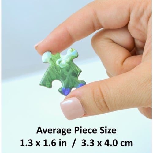 MasterPieces® Roadsides of the Southwest Puzzle Perspective: left