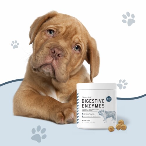 Chew Heal Digestive Enzymes Supplement for Dogs 120 Delicious Chews 120 Count Mariano s