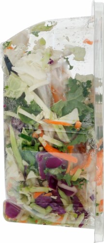 Eat Smart Everyday Favorites Buffalo Ranch Vegetable Salad Kit Perspective: left