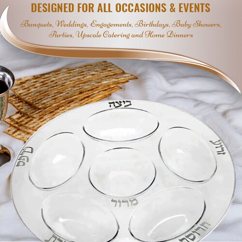 12  Clear with Silver Round Section Tray Disposable Plastic Seder Plates (24 Plates) Perspective: left