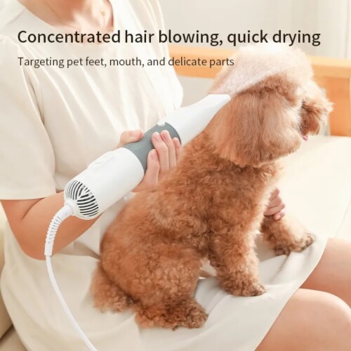 Best dog dryer for poodles sales