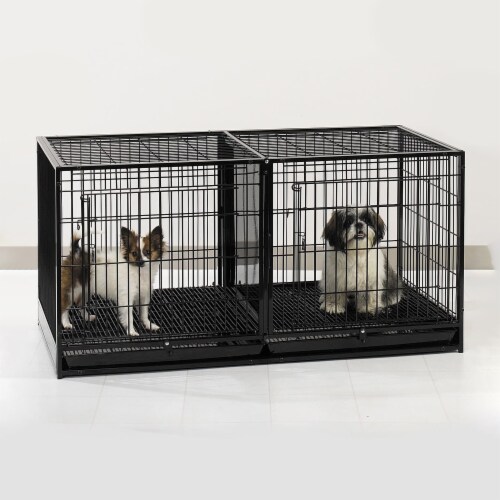 Proselect dog crate online