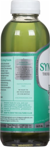 GT's Living Foods Synergy® Organic Multi-Green Raw Kombucha Perspective: left