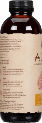 GT's Living Foods Alive Ancient Mushroom Elixir Perspective: left