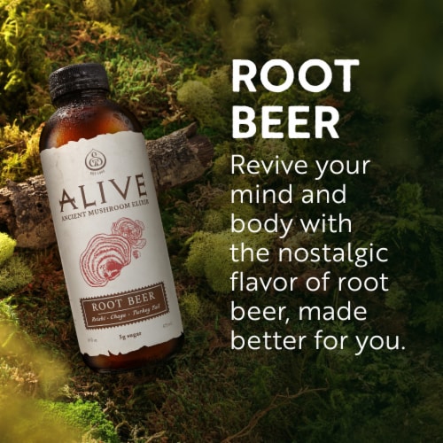 GT's Alive Root Beer Ancient Mushroom Elixir Drink Perspective: left