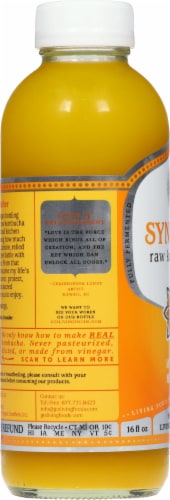 GT's Living Foods Synergy® Organic & Raw Mystic Mango™ Kombucha Perspective: left
