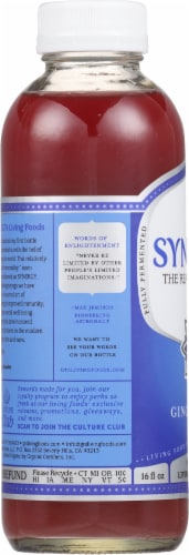GT's Synergy® Gingerberry® Kombucha Perspective: left