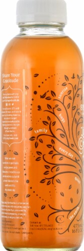 GT's Living Foods Seasonal Fall Edition Living in Gratitude Kombucha Perspective: left
