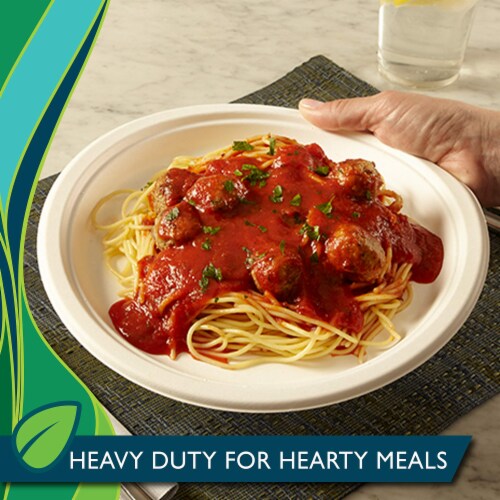 Hefty ECOSAVE Compostable Paper Plates (Pack of 32) Perspective: left