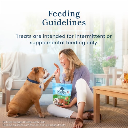 Blue Buffalo Nudges Grillers Natural Dog Treats Steak 16oz Bag (Pack of 12) Perspective: left
