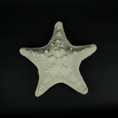 White Starfish Sea Star Coastal Accent Lamp 16 Inch Diameter Perspective: left