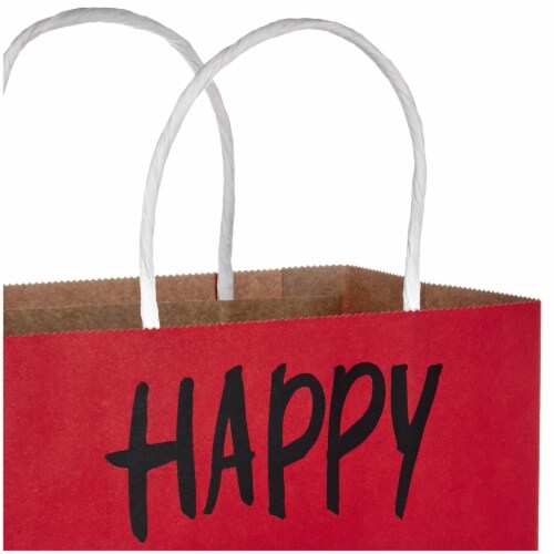 Valentine's Day Bag #73: Hallmark Medium Stiff Handle Gift Bag Bundle (Valentine's Hearts) Perspective: left
