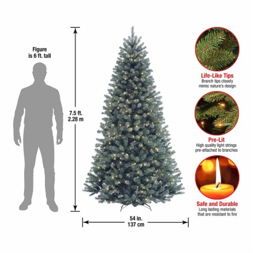 National Tree Company Artificial Giant Christmas Tree, Green, North Valley Spruce, Includes Stand, 10 Feet