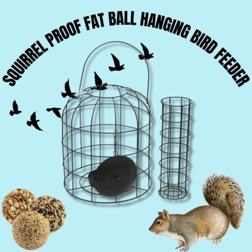 As Seen On TV Squirrel Proof Fat Ball Hanging Bird Feeder Perspective: left