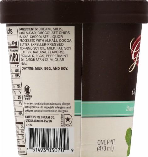 Graeter's® Mint Chocolate Chip Ice Cream Pint Perspective: left