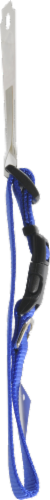 Alliance Blue Small Dog Collar Perspective: left