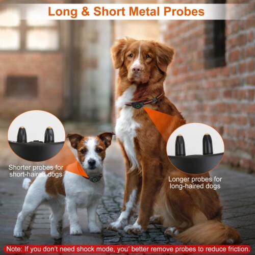Bark collar long haired dogs shop