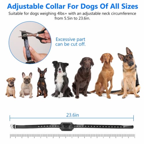 Dog shock collar with radius hot sale