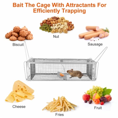 Humane Dual Door Rat Trap Cage Zinc Coated Live Rodent