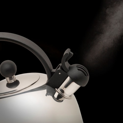 Primula® Today Stainless Steel Simon Whistling Kettle Perspective: left