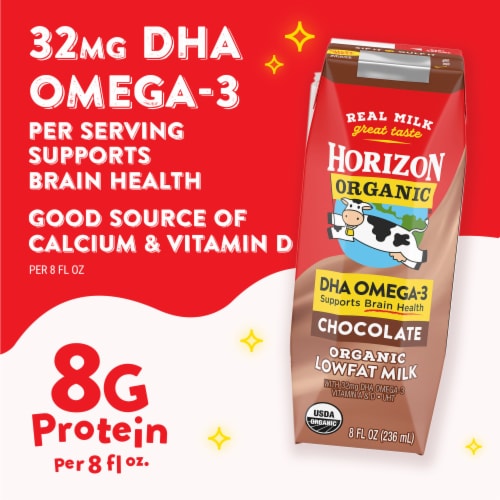 Horizon Organic DHA Omega-3 Lowfat Chocolate Milk Perspective: left