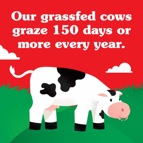 Horizon Organic Grassfed 2% Reduced Fat Milk Perspective: left