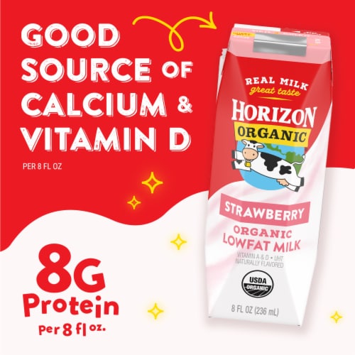 Horizon Organic Lowfat Strawberry Milk Perspective: left