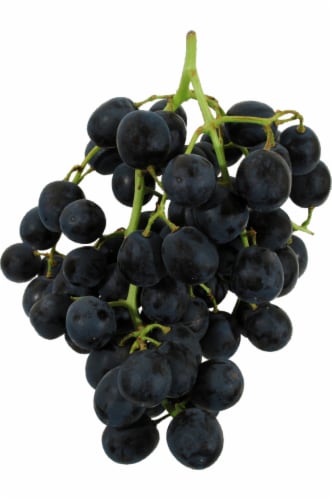 素敵でユニークな 36サイズ(23cm相当) Grape ROCK 美品】NEW pregnant
