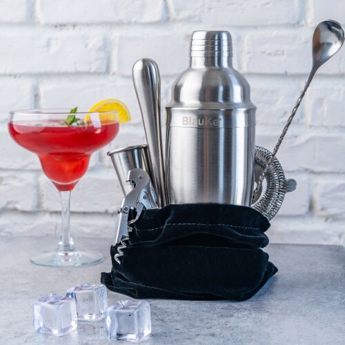 Stainless Steel Cocktail Shaker with 2 Stainless Steel Martini