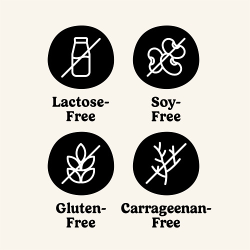 SO Delicious® Dairy-free Unsweetened Coconut Milk Yogurt Alternative Perspective: left