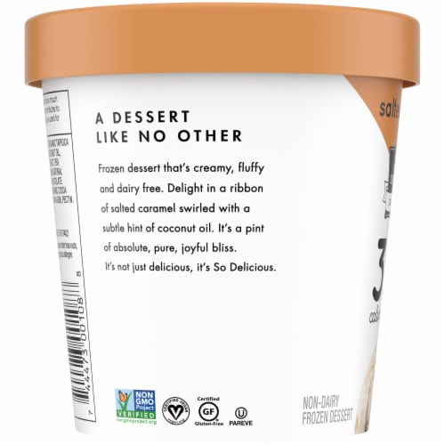 SO Delicious® Dairy Free Salted Caramel Frozen Dessert Pint Perspective: left
