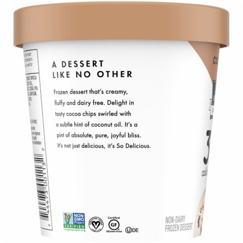 SO Delicious® Dairy Free Cocoa Chip Frozen Dessert Pint Perspective: left