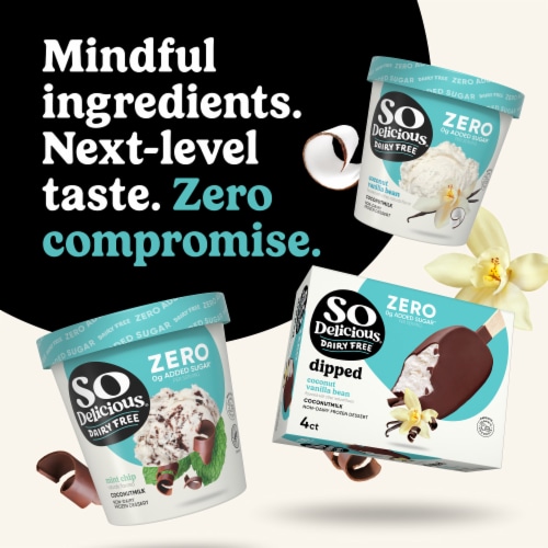 SO Delicious Vanilla Bean Coconutmilk Dairy Free Frozen Dessert Perspective: left