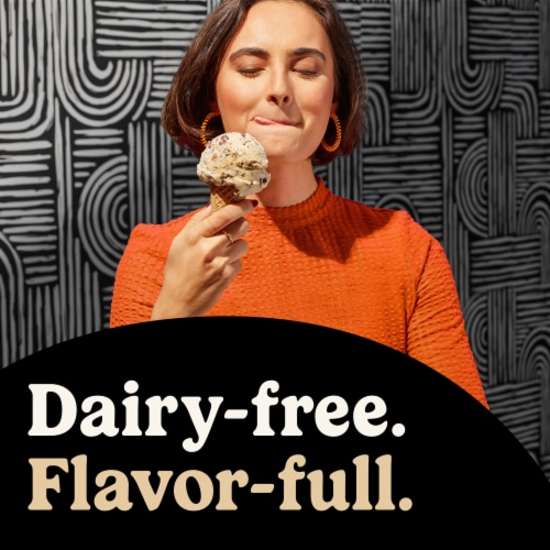So Delicious Dairy Free Creamy Vanilla Soy Milk Frozen Dessert Carton Perspective: left