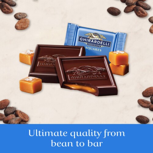 Ghirardelli® Dark Chocolate Sea Salt Caramel Squares Holiday Candy Bag Perspective: left