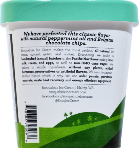 Snoqualmie Mint Chocolate Chip Ice Cream Pint Perspective: left