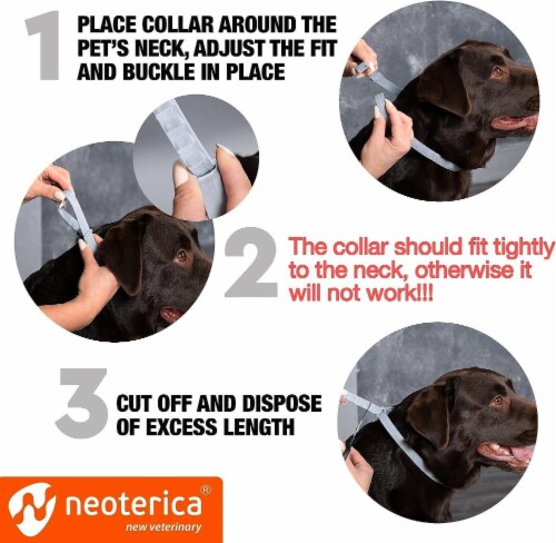 Beloved Pets Natural Flea Tick Collar 6 Months Control Oil Repellent Pack Of 2 1 Pack 2 Ct King Soopers