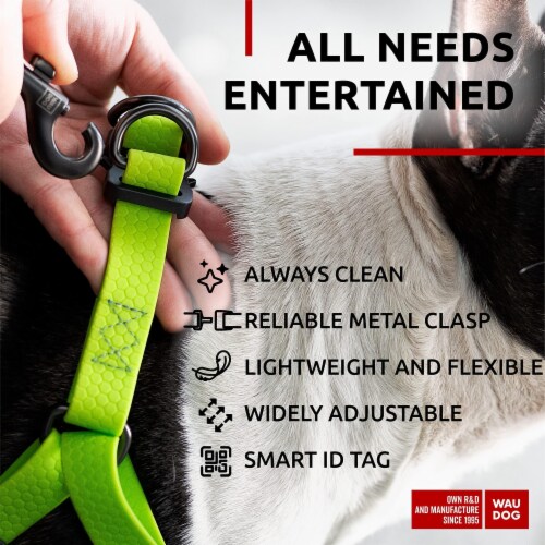 Metal clasp dog harness sales