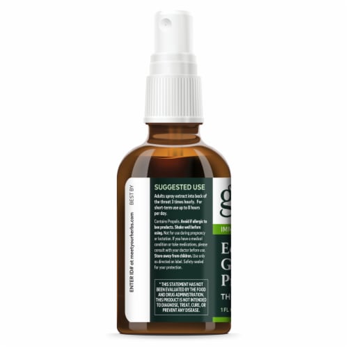 Gaia® Herbs Echinacea Goldenseal Propolis Throat Spray Perspective: left