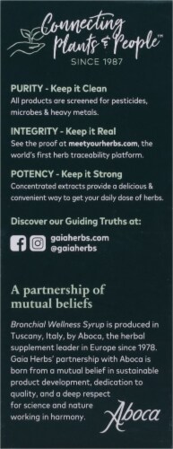 Gaia Herbs Bronchial Wellness Syrup Perspective: left