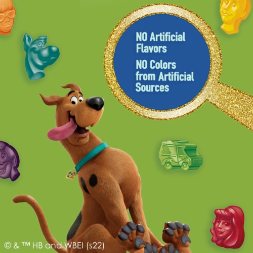 Scooby Doo Fruit Flavored Snacks, Gummy Treat Pouches, (Pack of 2) Perspective: left